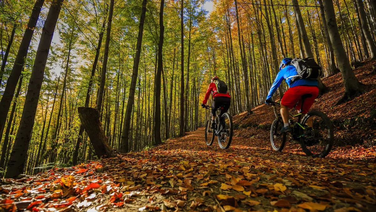 Radfahren2